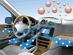 CARROLLTON Drivers: Get Fresh Air Inside Your Car